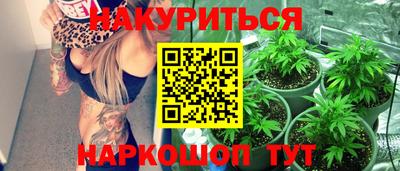 jwh Ставрополь