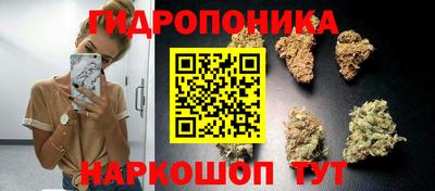 jwh Ставрополь