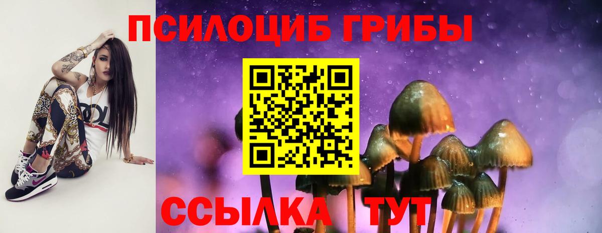 Галлюциногенные грибы Psilocybe Ногинск